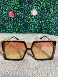 Bee Square Sunglasses